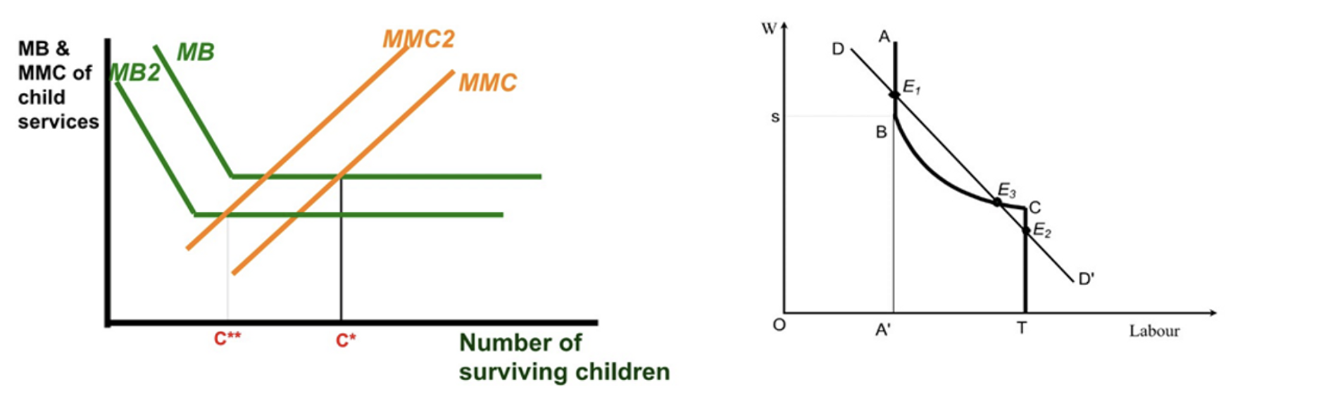 basic model