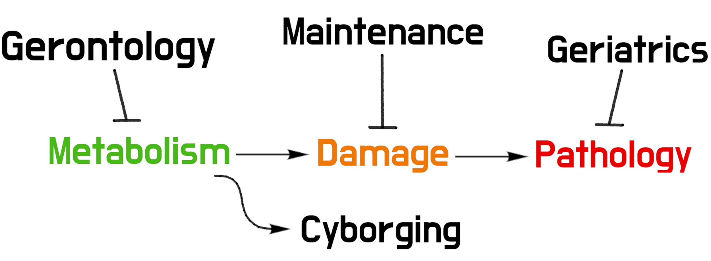 Cyborging