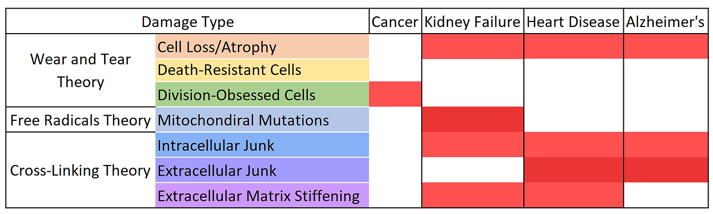 Damage Types 2