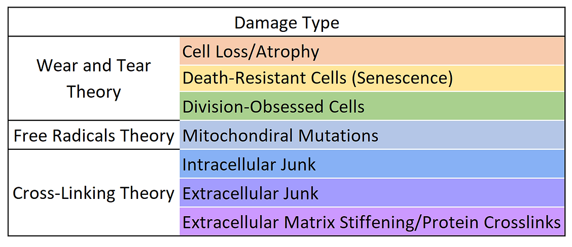 Damage Types 1