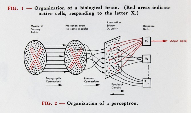 Perceptron